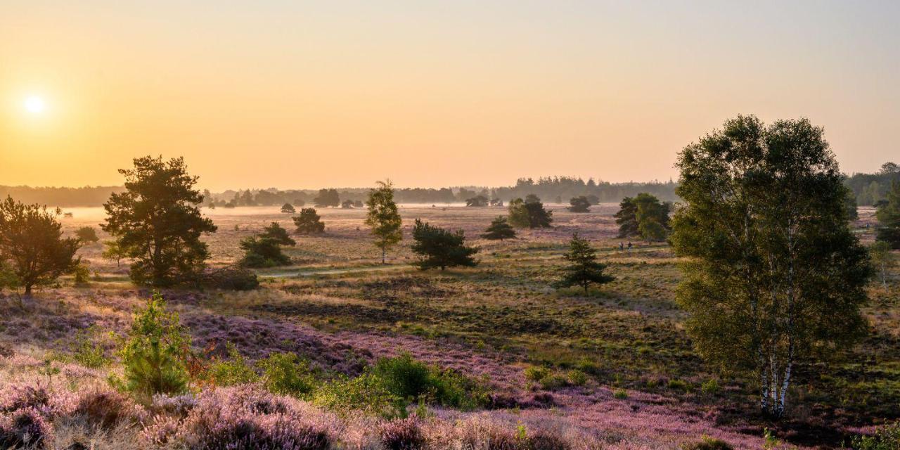 Bonte Schaap Villa Elspeet Kültér fotó